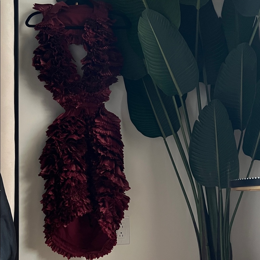 Elegant Burgundy Ruffled Dress